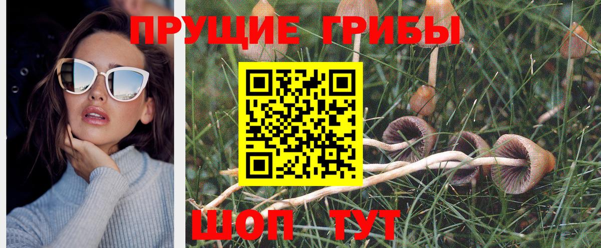 Рыбинск  Галлюциногенные грибы мицелий  Вход с VPN  Псилоцибиновые грибы мицелий 